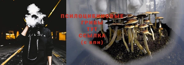 ECSTASY Баксан
