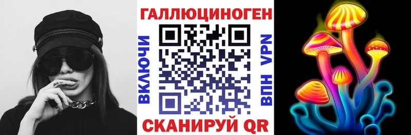 хочу наркоту  Невель  Галлюциногенные грибы Psilocybine cubensis 